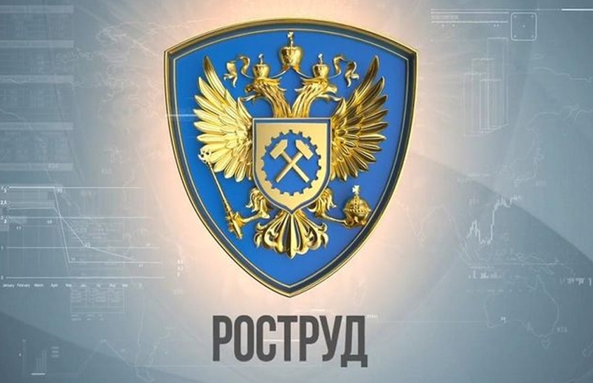 Роструд запустил новую социальную сеть
