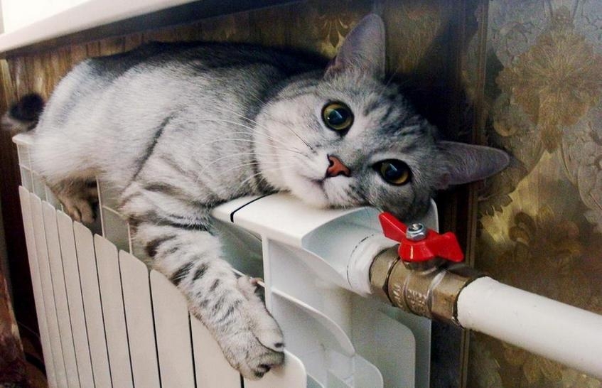 В домах ЖК «Саровская Ривьера» уже тепло (ВИДЕО)