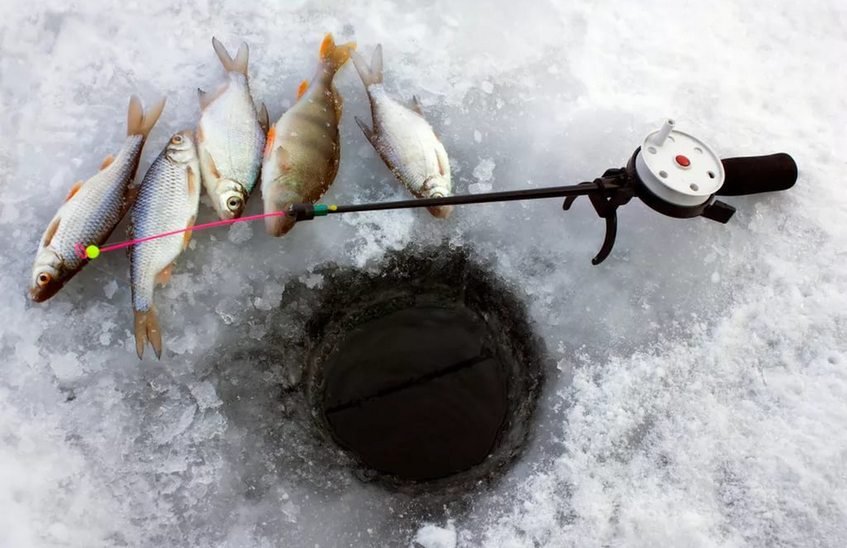 Чемпионат Нижегородской области по ловле на мормышку со льда пройдет в регионе