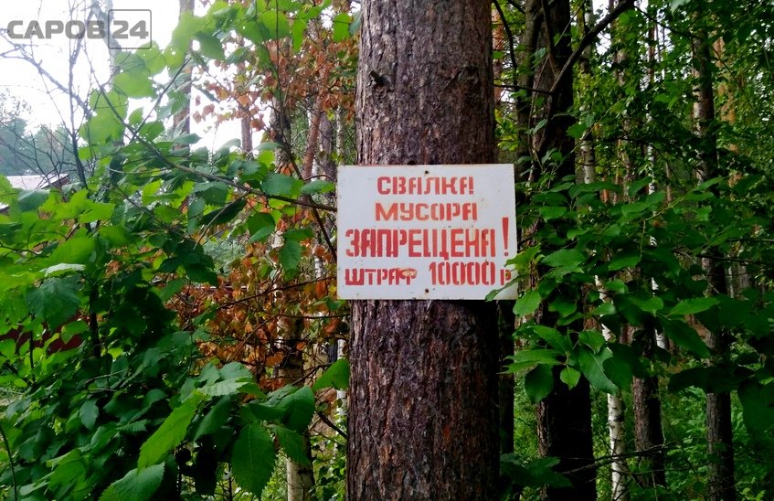 Систему дистанционного мониторинга природных ресурсов внедрят в Нижегородской области