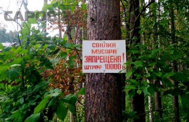 Систему дистанционного мониторинга природных ресурсов внедрят в Нижегородской области