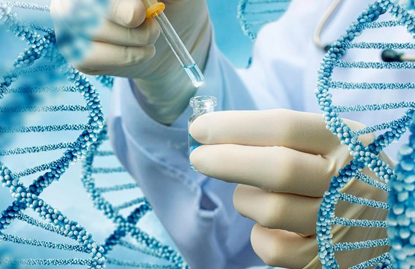 Специалисты ВНИИЭФ провели генетические исследования в Сибири