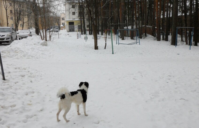 Топ новостей Сарова за неделю