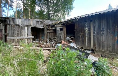 Топ новостей Сарова за неделю