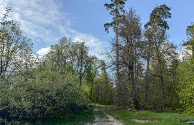 Прибрежный парк может появиться в Сарове